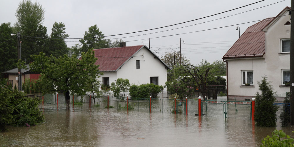 Water & Flood Damage